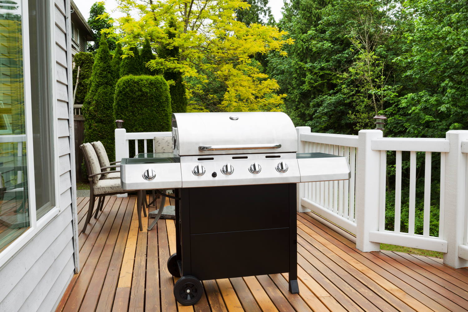 Was Kostet Ein Grill Im Center Park gasgrill-magazin.de